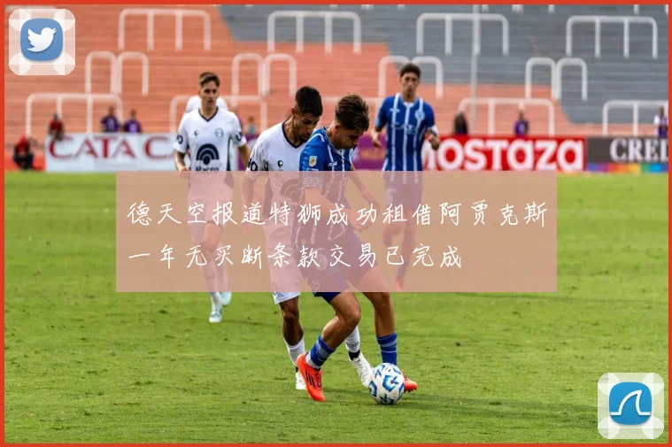 德天空报道特狮成功租借阿贾克斯一年无买断条款交易已完成